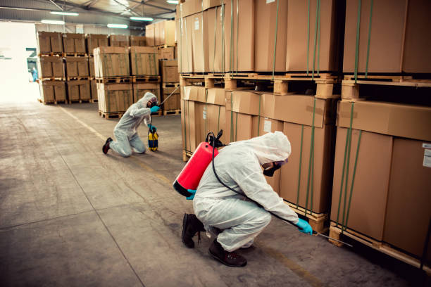 Best Emergency Pest Control  in Foley, AL