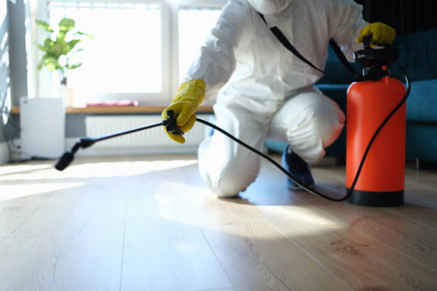 Professional Pest Control in Foley, AL