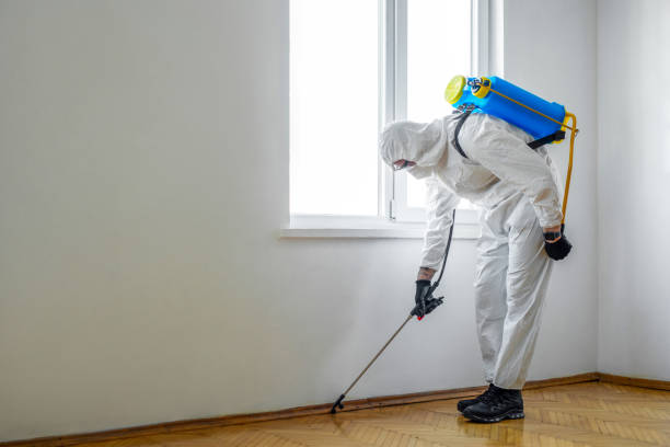 Best Termite Control Services  in Foley, AL