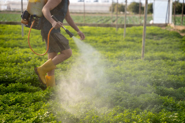 Best Pest Prevention Services  in Foley, AL
