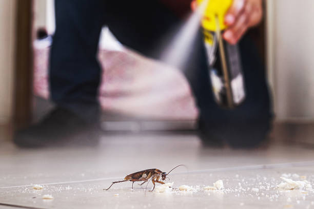 Best Pest Control for Restaurants  in Foley, AL