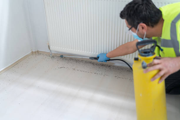 Pest Prevention Services in Foley, AL